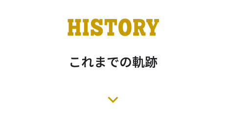 これまでの軌跡へ移動